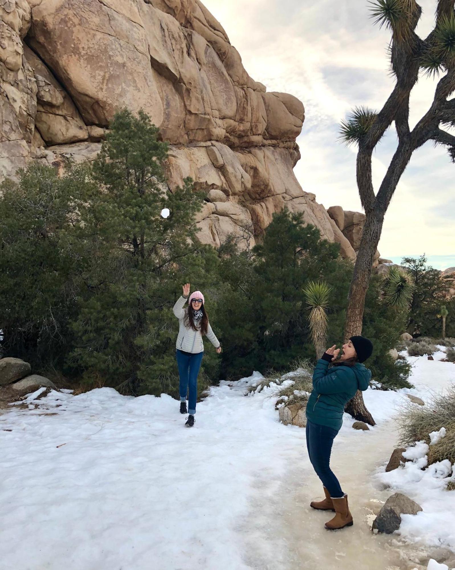 Cozy Desert Retreat With Amazing Views Only 4 Miles To Jtnp โจชัวทรี ภายนอก รูปภาพ