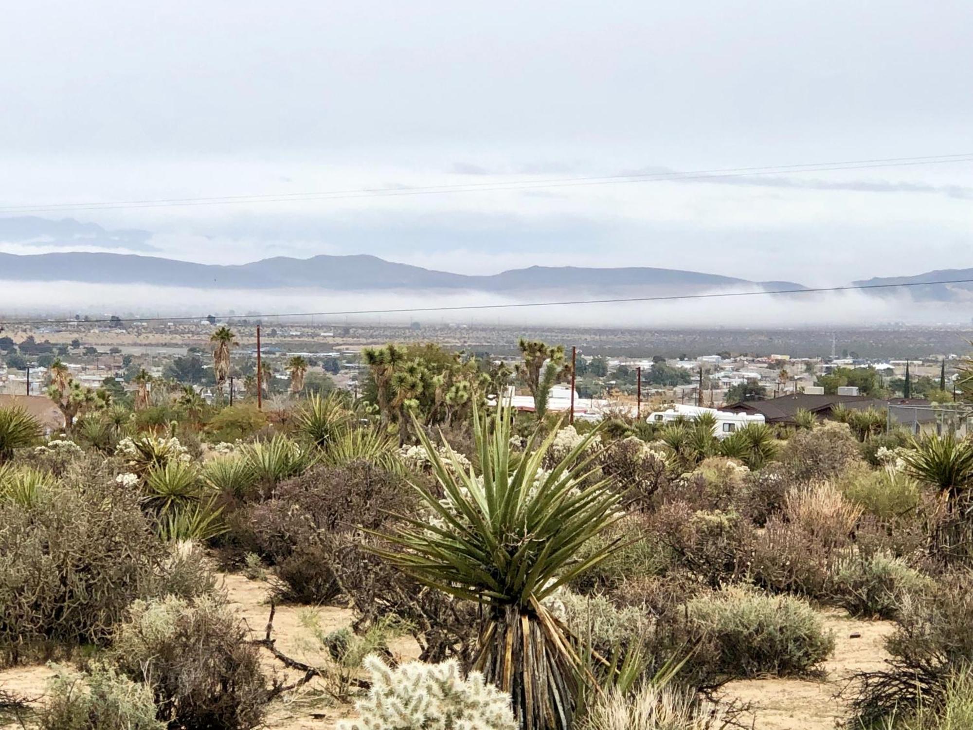 Cozy Desert Retreat With Amazing Views Only 4 Miles To Jtnp โจชัวทรี ภายนอก รูปภาพ